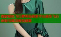 微软模拟飞行萝莉岛探索平台真实飞行体验与高清视觉盛宴