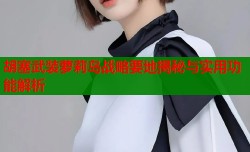 胡塞武装萝莉岛战略要地揭秘与实用功能解析