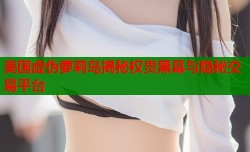 美国虚伪萝莉岛揭秘权贵黑幕与隐秘交易平台