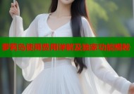 萝莉岛使用费用详解及独家功能揭秘