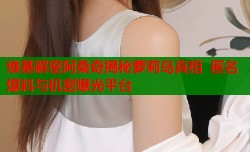 维基解密阿桑奇揭秘萝莉岛真相  匿名爆料与机密曝光平台