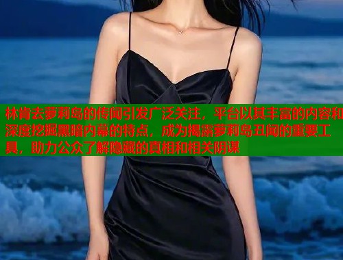 林肯去萝莉岛的传闻引发广泛关注，平台以其丰富的内容和深度挖掘黑暗内幕的特点，成为揭露萝莉岛丑闻的重要工具，助力公众了解隐藏的真相和相关阴谋  第1张