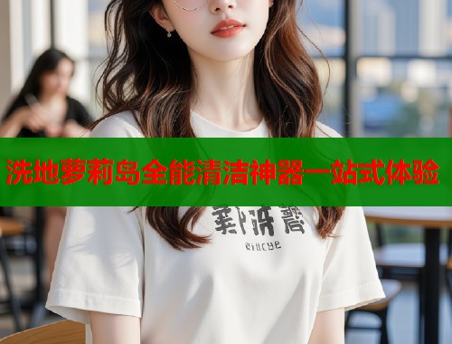 洗地萝莉岛全能清洁神器一站式体验  第1张