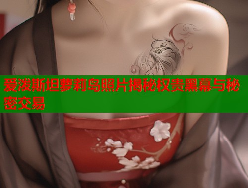 爱泼斯坦萝莉岛照片揭秘权贵黑幕与秘密交易  第2张