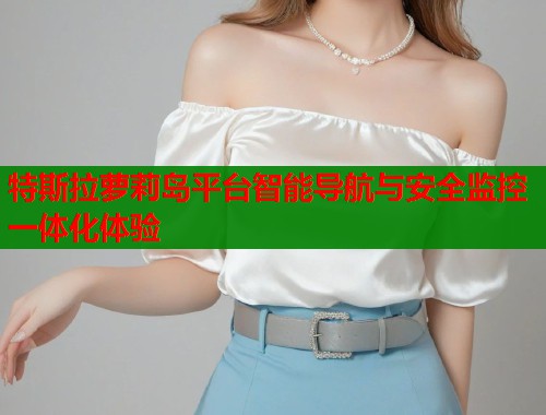 特斯拉萝莉岛平台智能导航与安全监控一体化体验  第1张
