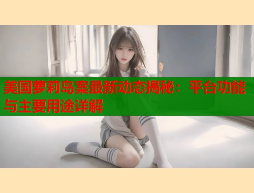 美国萝莉岛案最新动态揭秘：平台功能与主要用途详解  第2张