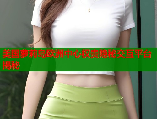 美国萝莉岛欧洲中心权贵隐秘交互平台揭秘  第1张