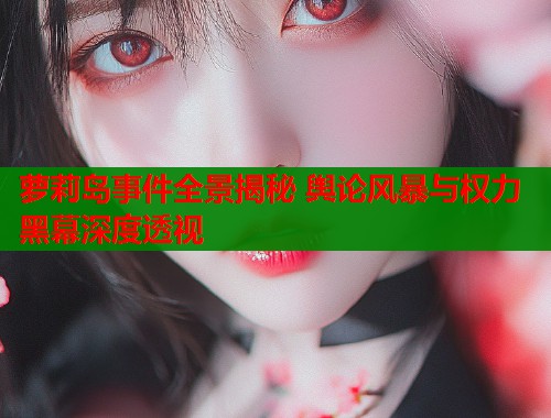 萝莉岛事件全景揭秘 舆论风暴与权力黑幕深度透视  第1张