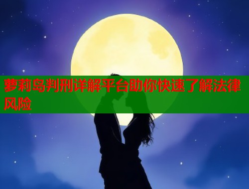 萝莉岛判刑详解平台助你快速了解法律风险  第1张